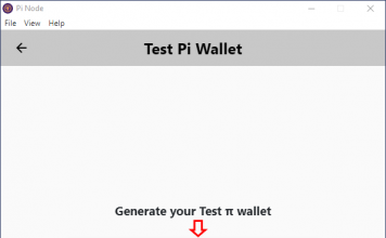 Wallet Test Pi 1