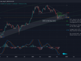 Bitcoin chạm nhẹ vào $25k khi xuất hiện dấu hiệu đạt đỉnh, SHIB bất ngờ tăng 34% dẫn đầu altcoin Homedigitalmarketing.ccpublic Htmlwp Contentuploads202208localimagesc9ba4bea 67e2 4eea 8350 4d36232b997b.png